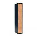 Klädskåp Fydor FFF, BxDxH 300x550x1752 mm, 1 dörr i 1 skåp, plant tak, ant/ek