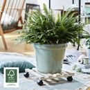 Blomvagn Kvadrat Bok Paletti Wagner, lastkapacitet 100 kg, natur, LxB 340 x 340 mm, 4-pack