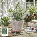 Blomvagn Komposit WPC Wagner, lastkapacitet 120 kg, LxB 500 x 500 mm, ockra