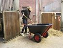 Skottkärra Holmfrid, luftgummihjul, 250 liter, LxB 1560 x 890 mm
